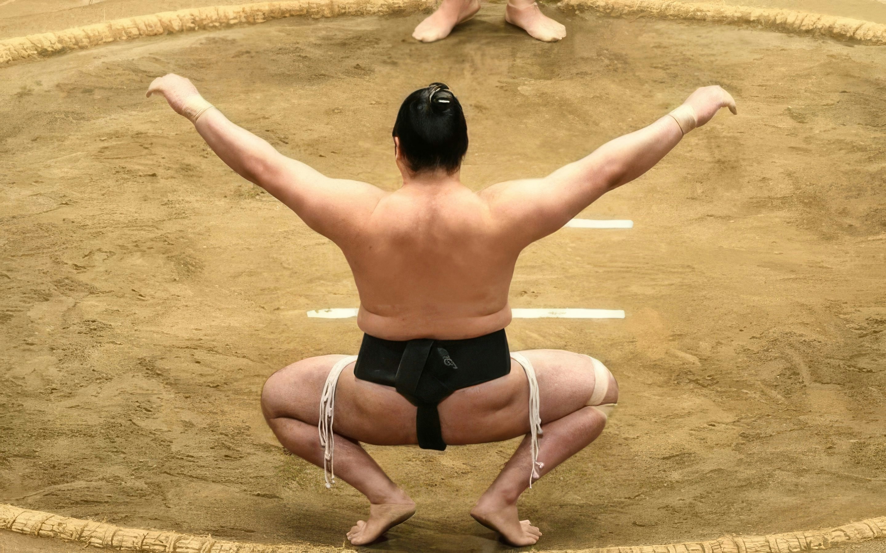 Sumo wrestler in traditional stance on a clay dohyo, Japan.