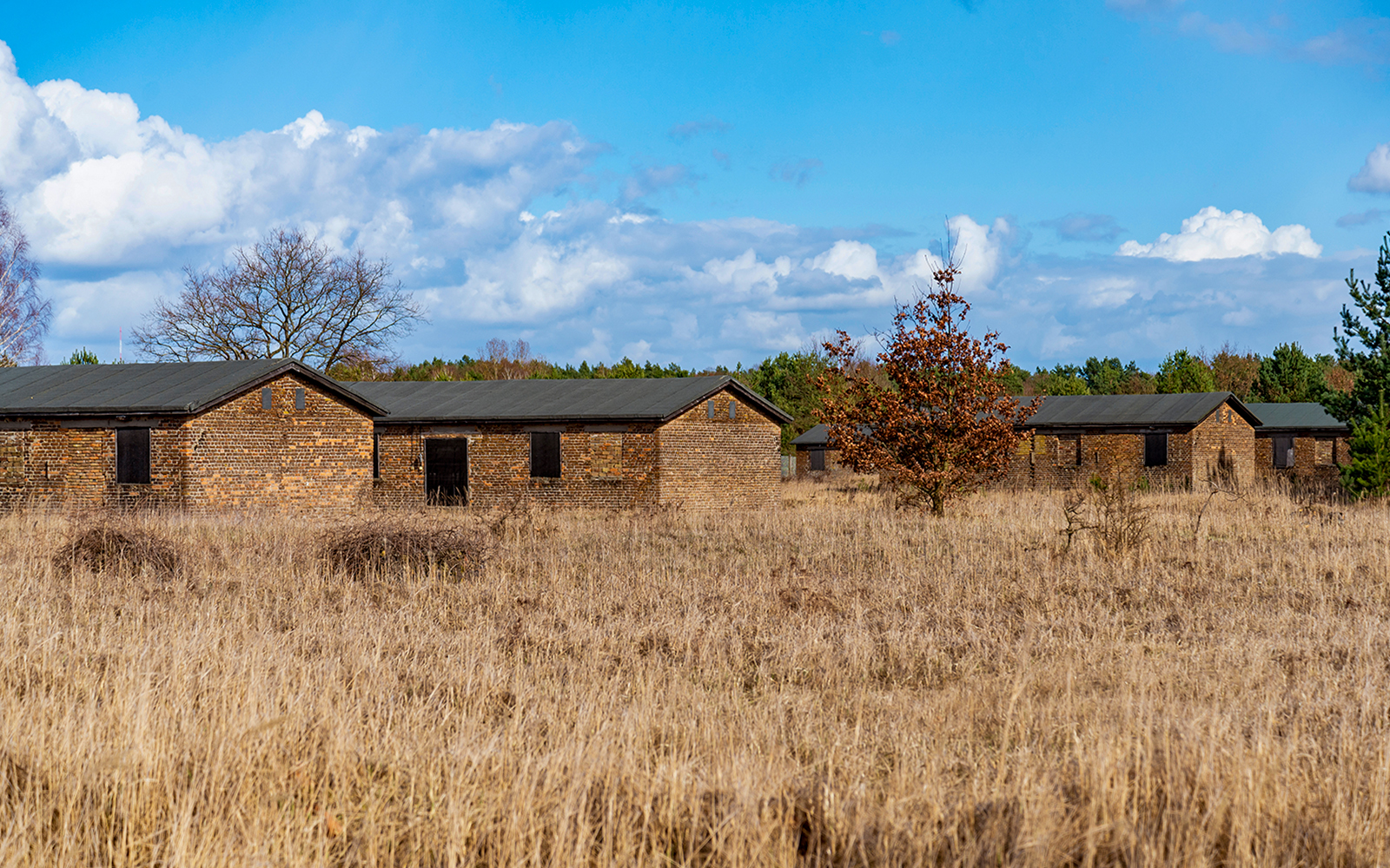 Soviet Camp No. 7 buildings in Sachsenhausen, surrounded by grass and trees under a blue sky.