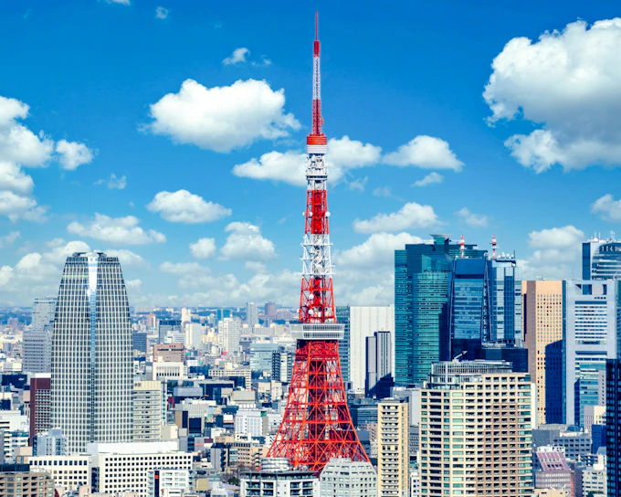 Narita International Airport to Tokyo Private One-Way Transfer (Product 54852)