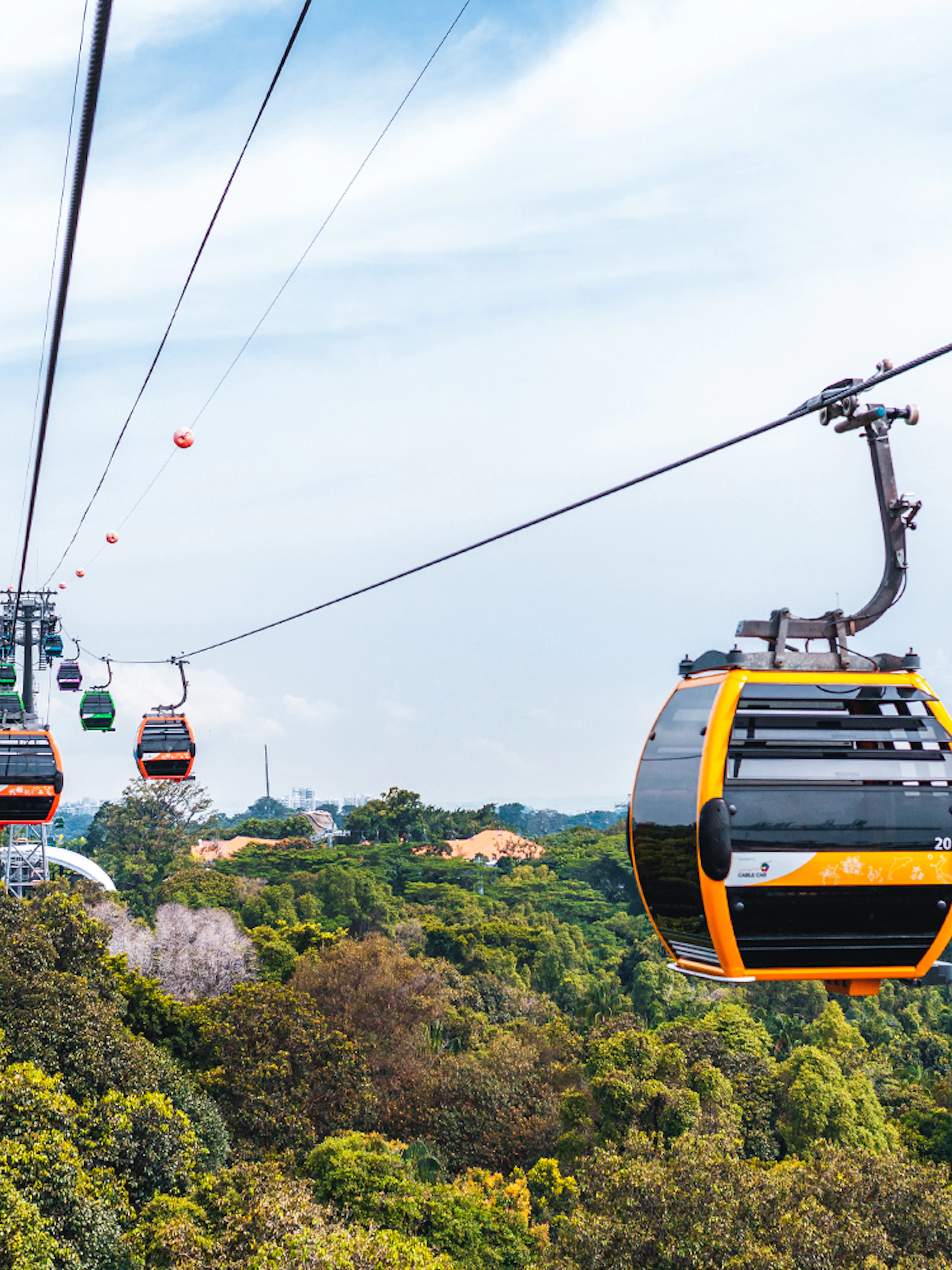 Singapore Cable Car over lush greenery and coastline.