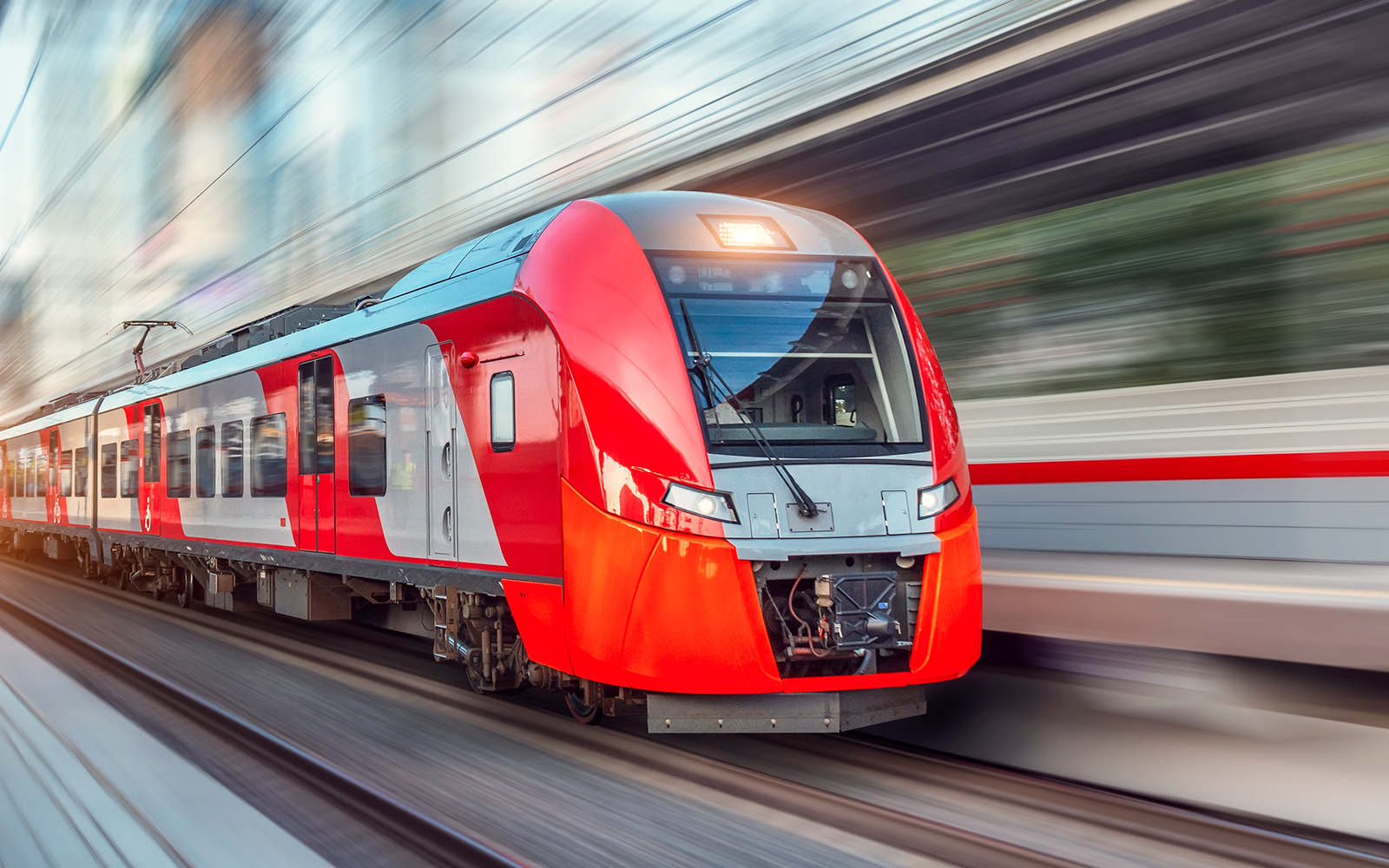 Padua Medical Museum