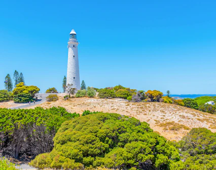Wadjemup Lighthouse surrounded by greenery on Rottnest Island, Australia.