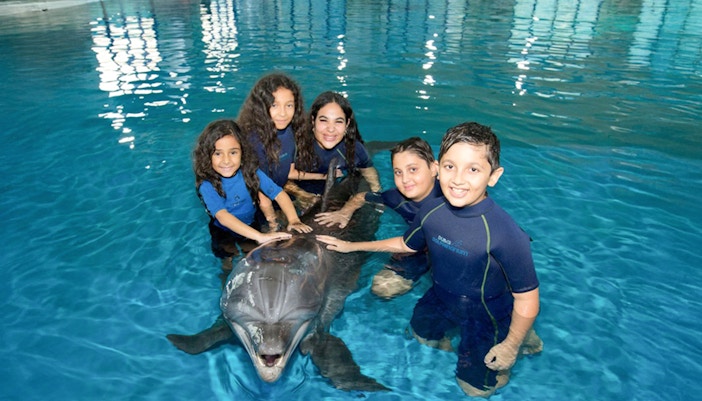 Kids interacting with a dolphin and posing for a picture