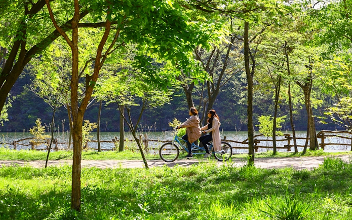 Women cycling on a tandem bike through a tree-lined path on Nami Island.
