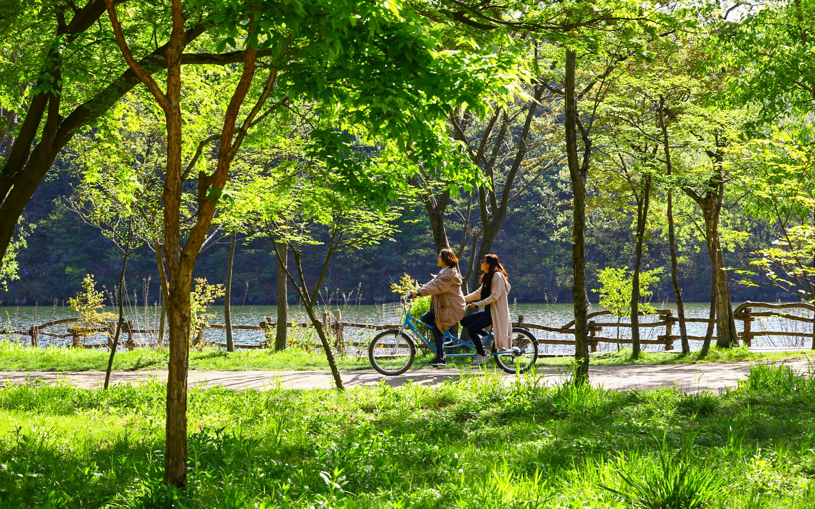 Nami Island