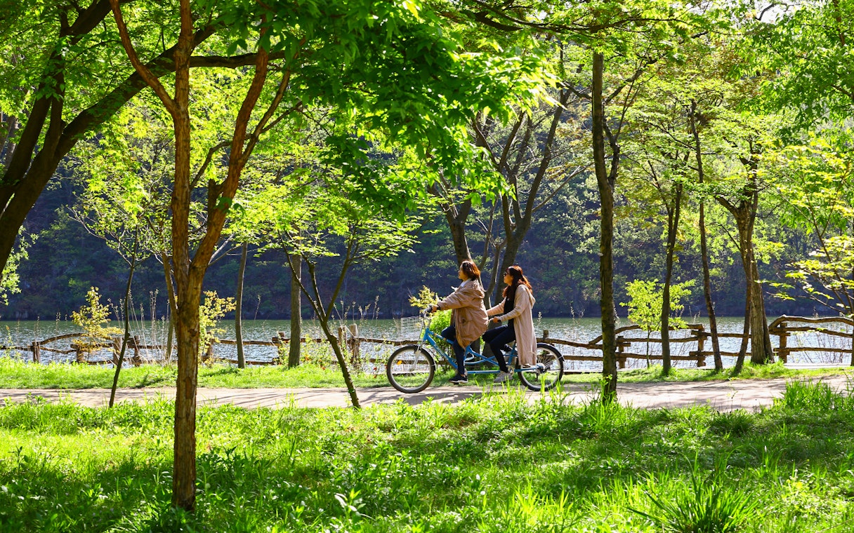Women cycling on a tandem bike through a tree-lined path on Nami Island.