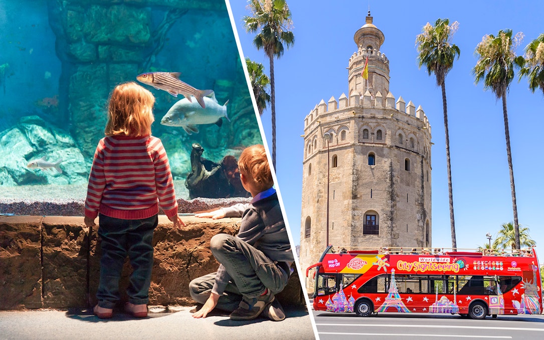 Seville Aquarium visit and Torre del Oro with City Sightseeing bus in Seville.