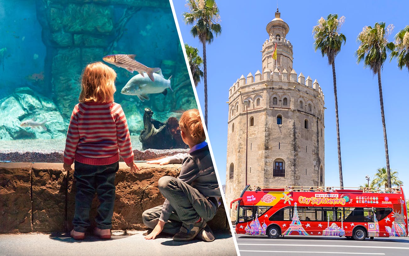 Seville Aquarium visit and Torre del Oro with City Sightseeing bus in Seville.