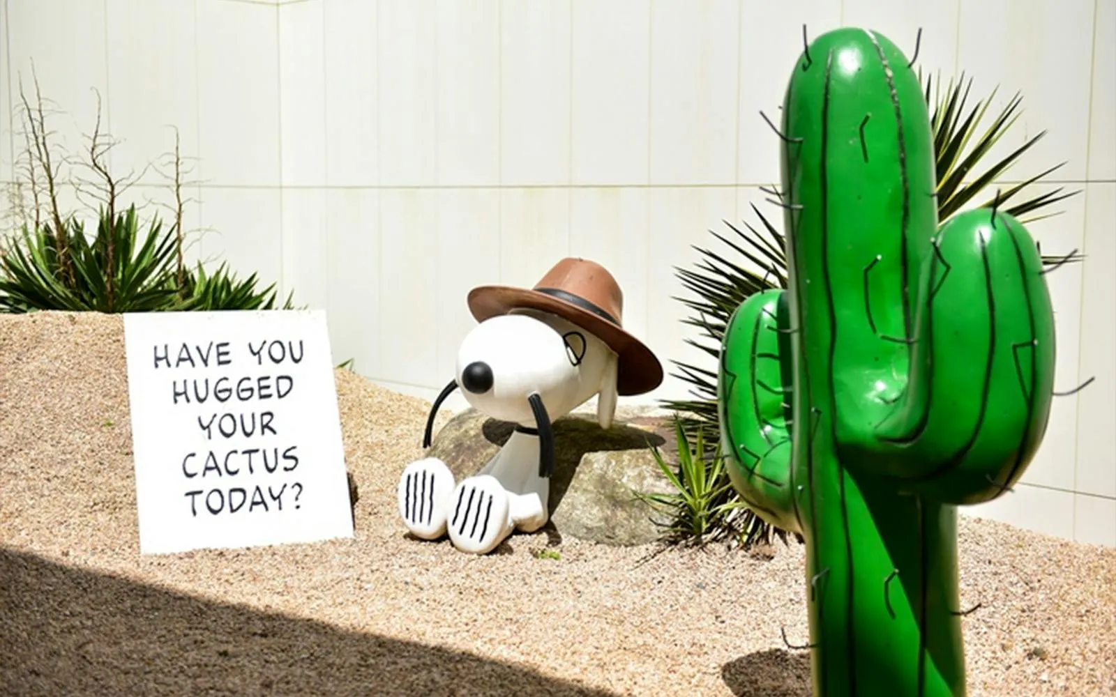 Snoopy statue with hat beside cactus and sign at Snoopy Garden Jeju.