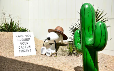Snoopy statue with hat beside cactus and sign at Snoopy Garden Jeju.