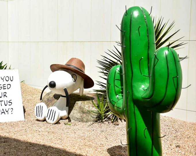 Snoopy Garden Jeju Entry Ticket
