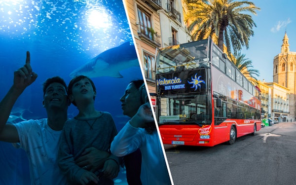 Combo: Oceanogràfic Tickets + Valencia Hop-on Hop-off Bus Tour