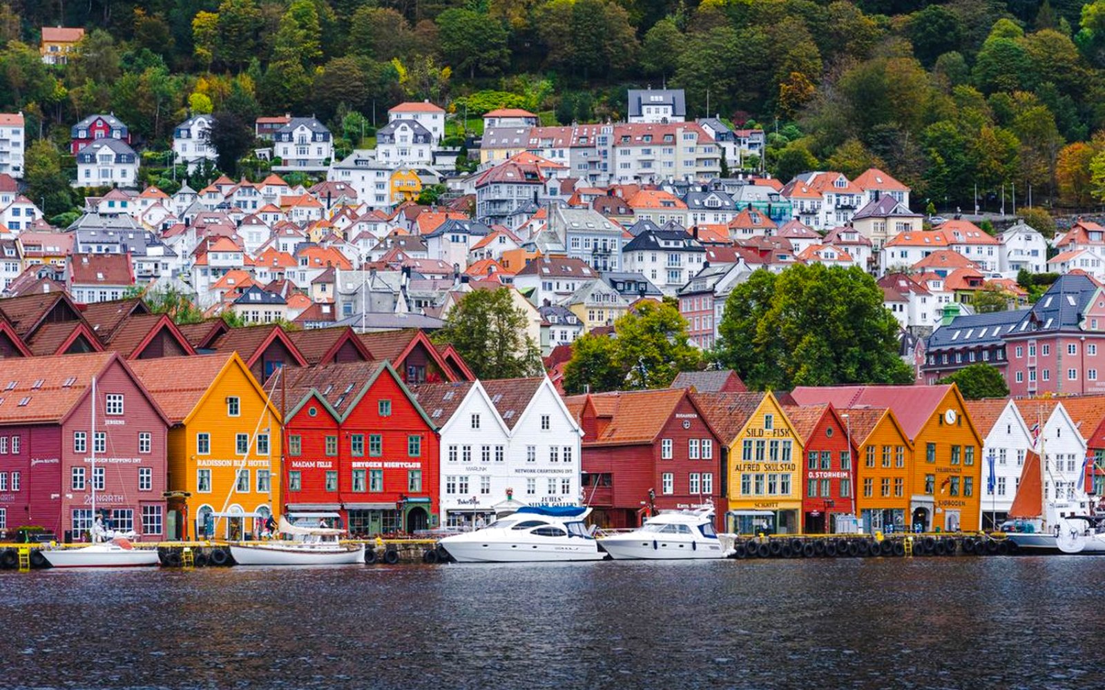 Colorful wooden houses along the waterfront in Bergen, Norway, with hillside homes in the background.