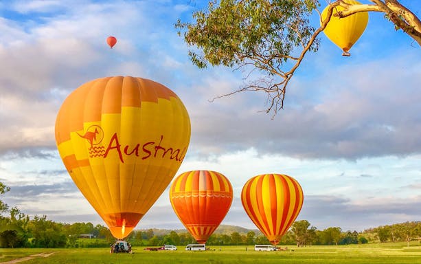 Hot air balloons in a field, Australia, with trees and a blue sky.