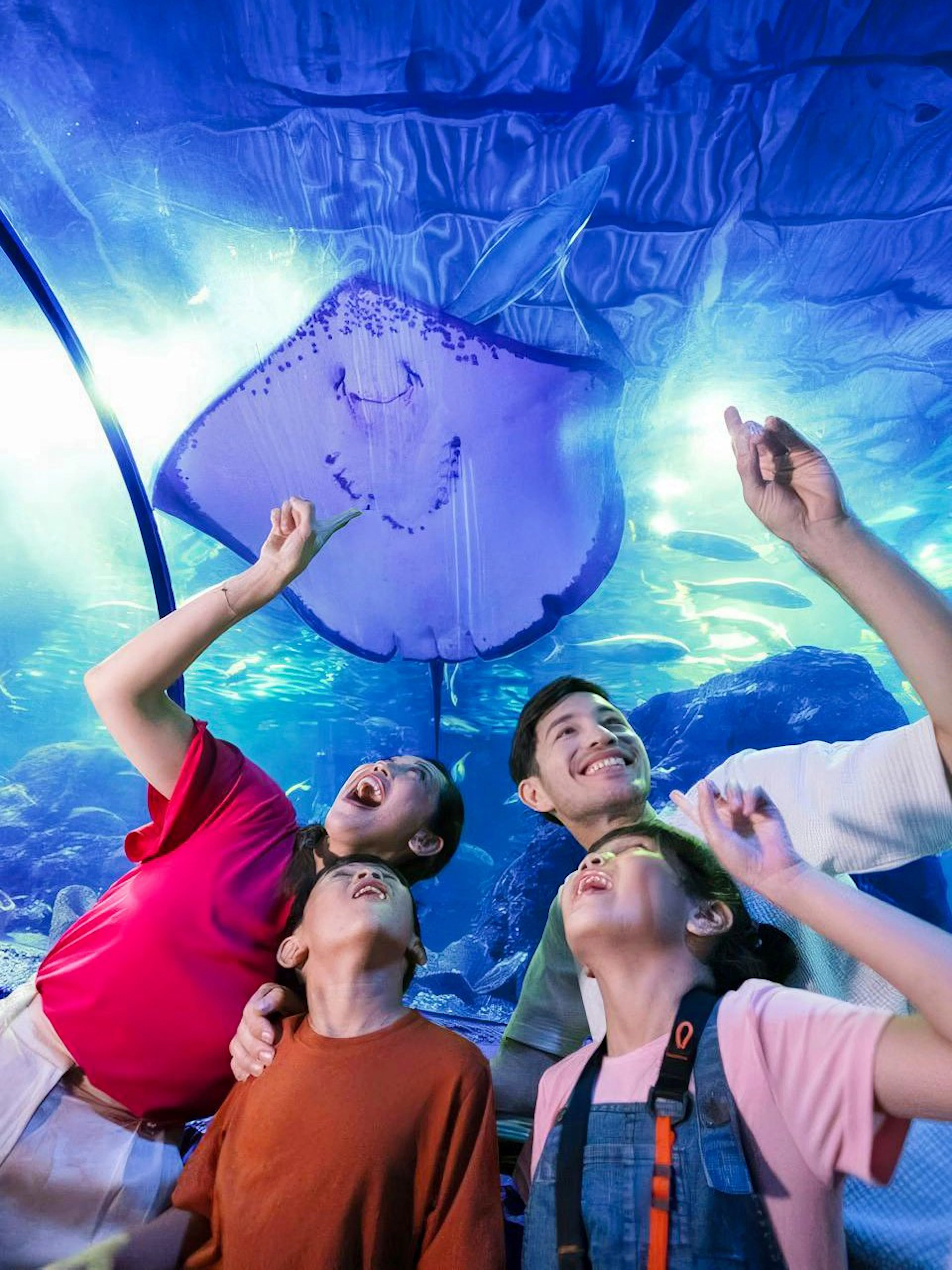 Family observing a stingray in the underwater tunnel at Sea World Ancol.