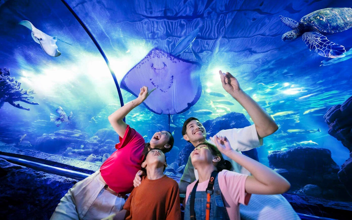 Family observing a stingray in the underwater tunnel at Sea World Ancol.