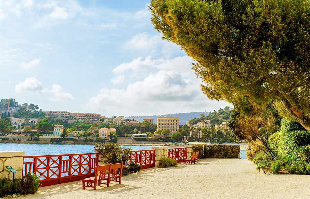 Mediterranean Garden Oasis
