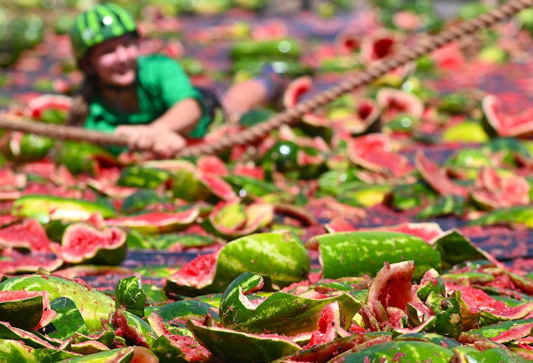 7. Chinchilla Melon Festival