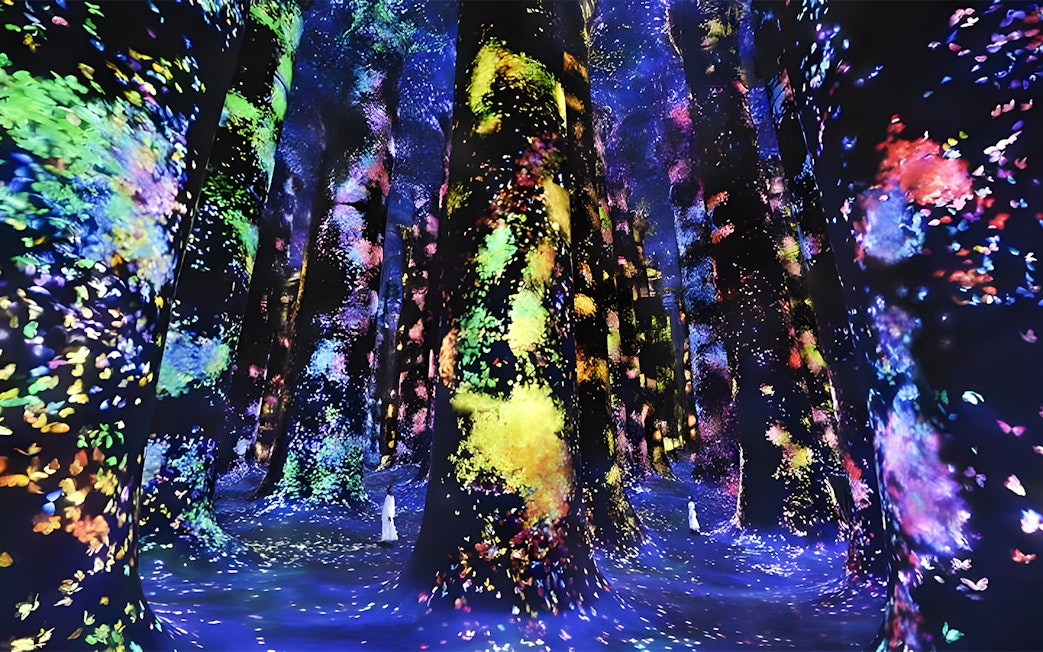 Colorful digital forest installation at TeamLab Phenomena Abu Dhabi.