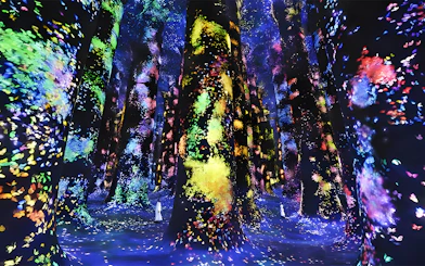 Colorful digital forest installation at TeamLab Phenomena Abu Dhabi.