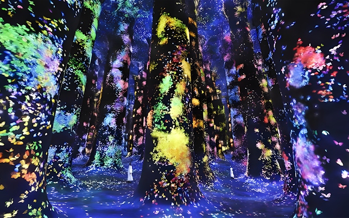 Colorful digital forest installation at TeamLab Phenomena Abu Dhabi.