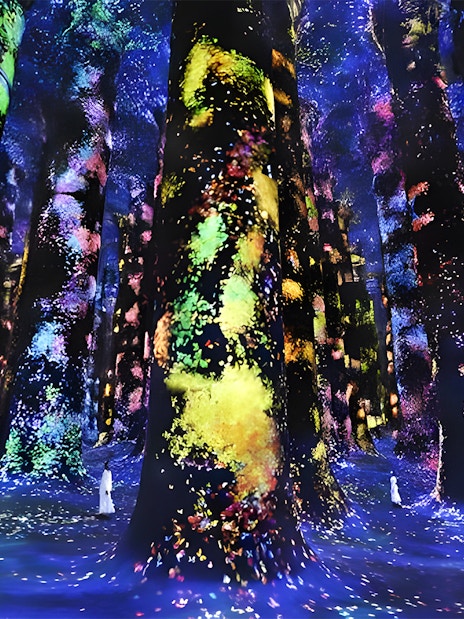 Colorful digital forest installation at TeamLab Phenomena Abu Dhabi.