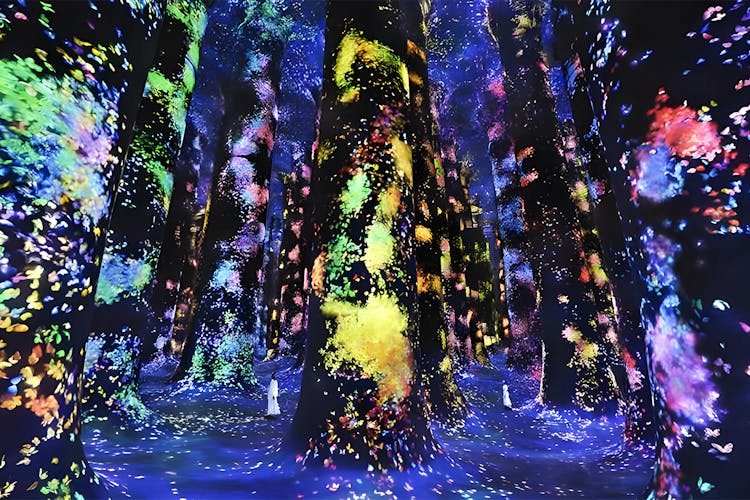TeamLab Phenomena Abu Dhabi interactive digital art installation with vibrant light displays.