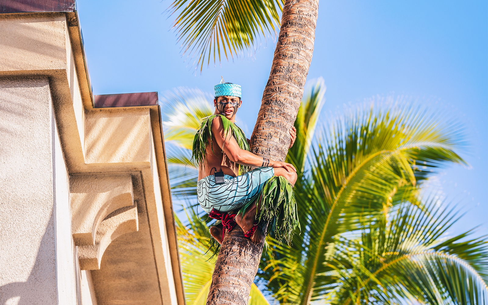 Performer climbing palm tree at Moana Luau, Hawaii.