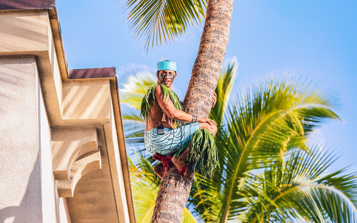 Performer climbing palm tree at Moana Luau, Hawaii.