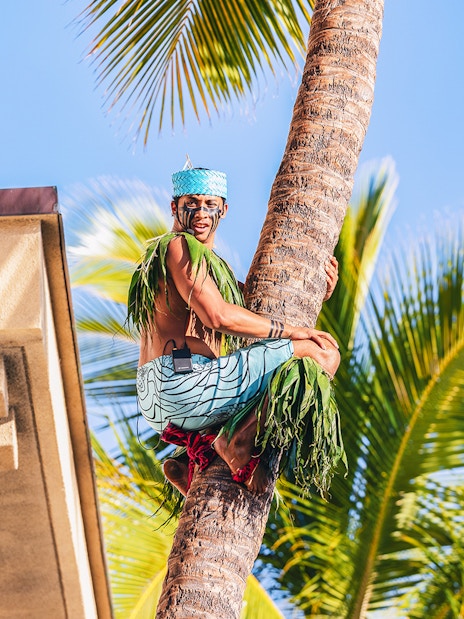 Performer climbing palm tree at Moana Luau, Hawaii.