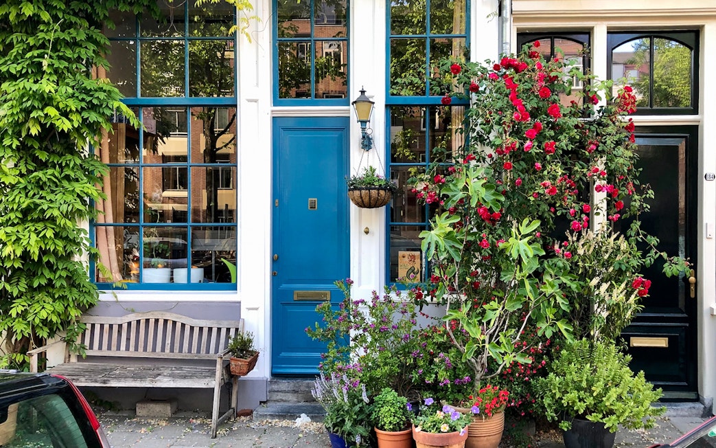 Charming Amsterdam house facade with blue door and vibrant flowers.