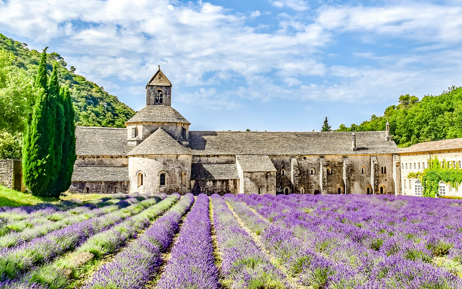 Sénanque Abbey with lavender fields in Provence, France.