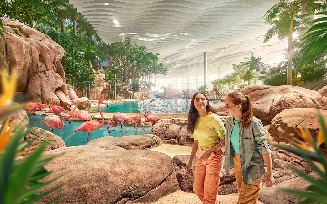 People walking near flamingos at SeaWorld Abu Dhabi's Tropical Ocean exhibit.