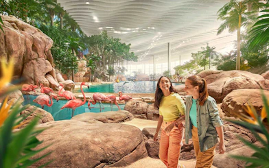 People walking near flamingos at SeaWorld Abu Dhabi's Tropical Ocean exhibit.