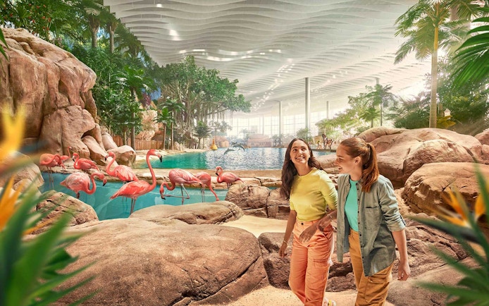 People walking near flamingos at SeaWorld Abu Dhabi's Tropical Ocean exhibit.