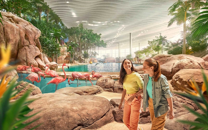People walking near flamingos at SeaWorld Abu Dhabi's Tropical Ocean exhibit.