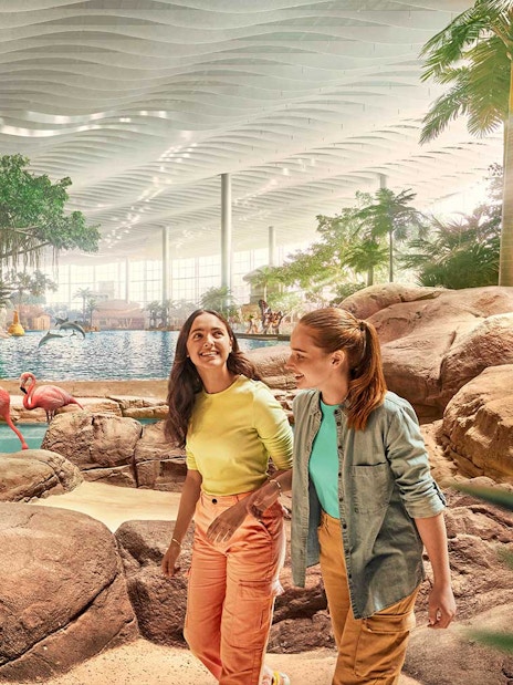 People walking near flamingos at SeaWorld Abu Dhabi's Tropical Ocean exhibit.