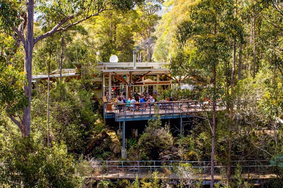 full-day guided tour of hastings caves, tahune, and huon valley-7