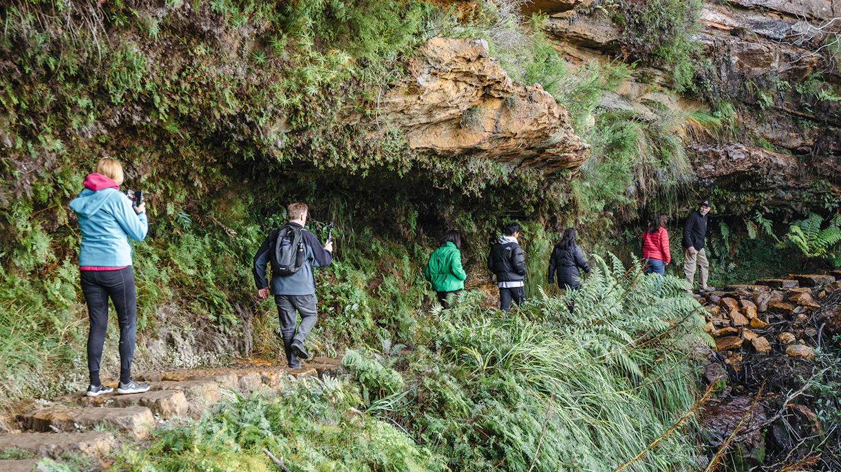 A tour guide leading a group at a rainforest trail