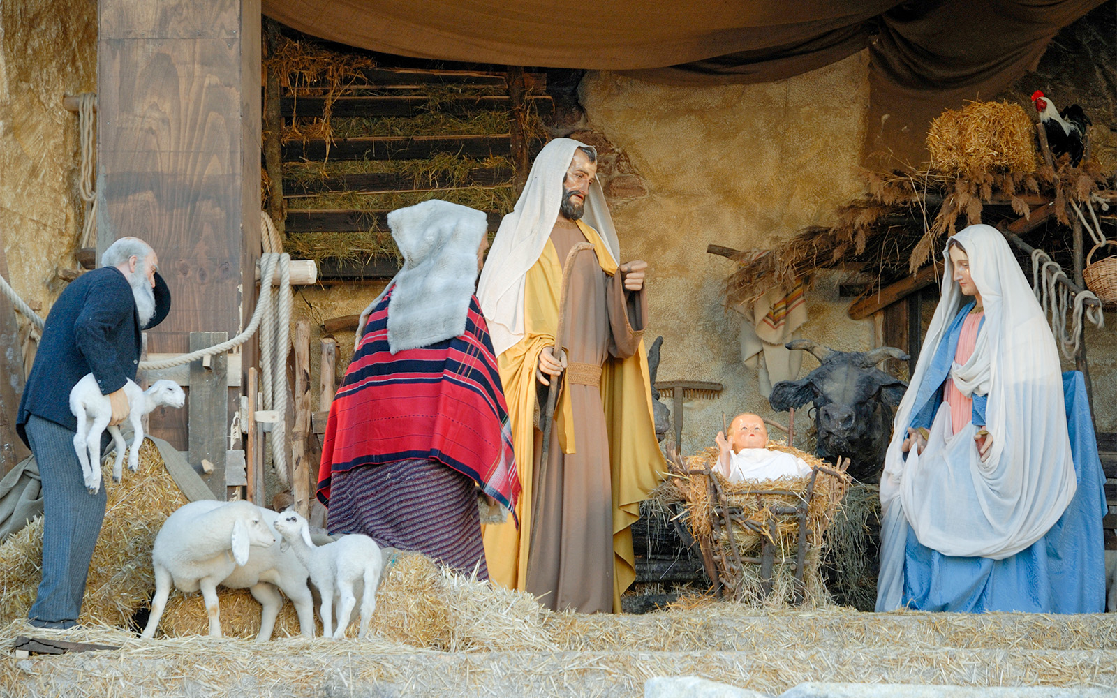 Vatican Nativity