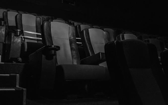 Empty movie theater seats in a dimly lit auditorium.