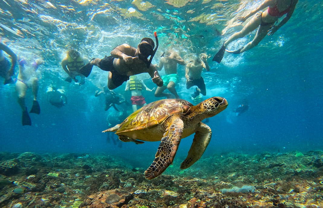 Tourists snorkeling in clear blue waters at Nusa Lembongan & Manta Bay Snorkeling Day Tour in Bali