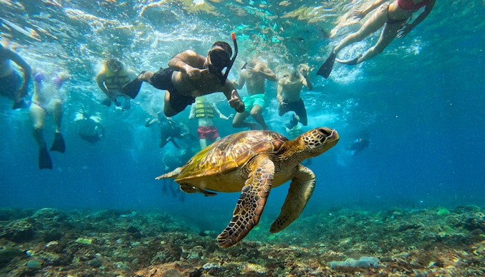 Tourists snorkeling in clear blue waters at Nusa Lembongan, Bali, with vibrant marine life.