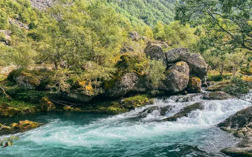 Folgefonna National Park glacier lake with flowing water and surrounding lush greenery.