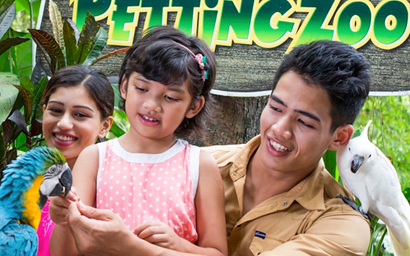 Family interacting with parrots at Lost World of Tambun Petting Zoo.