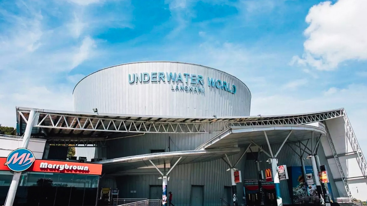 Why visit the Langkawi Underwater World