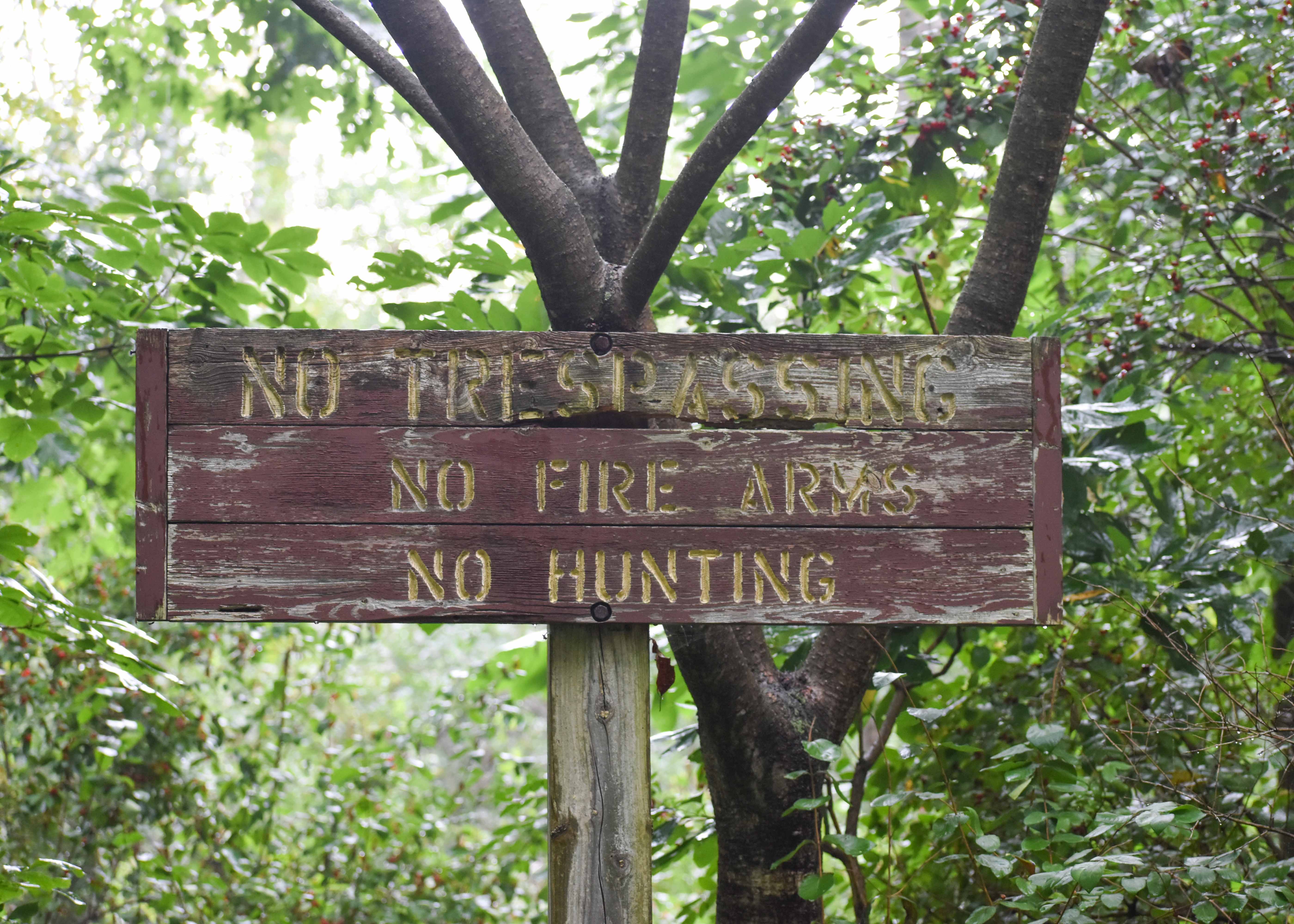 Gatorland Rules and Regulations