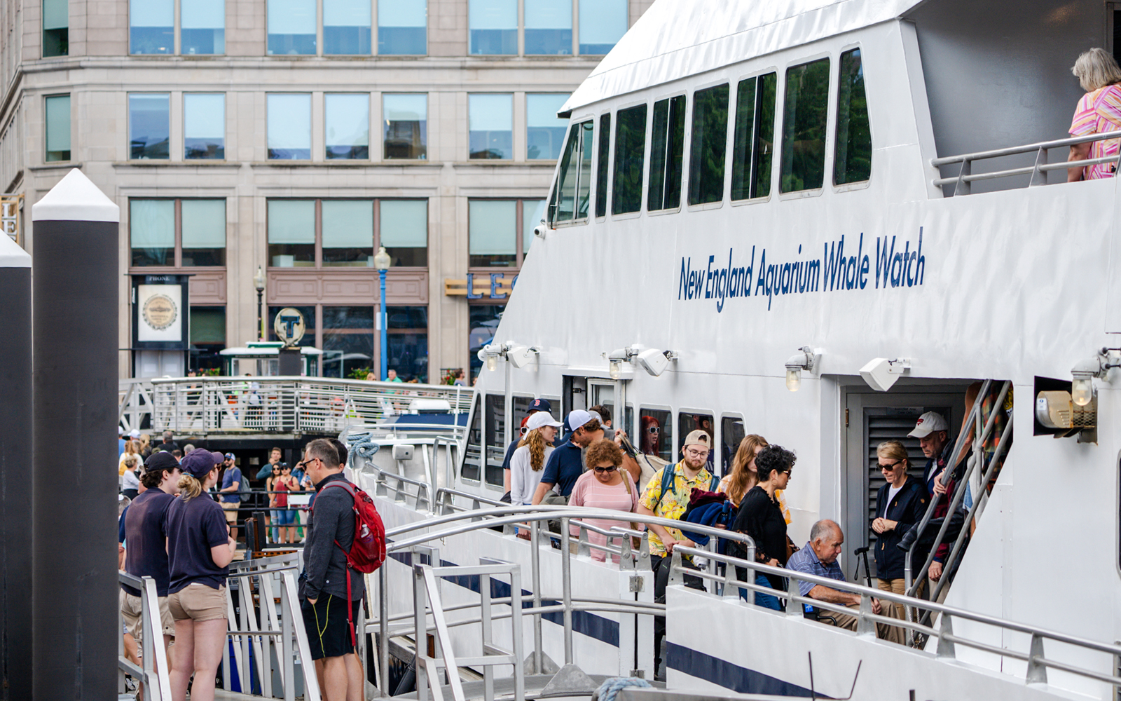 Guests boarding a catamaran on the Whale watching cruise