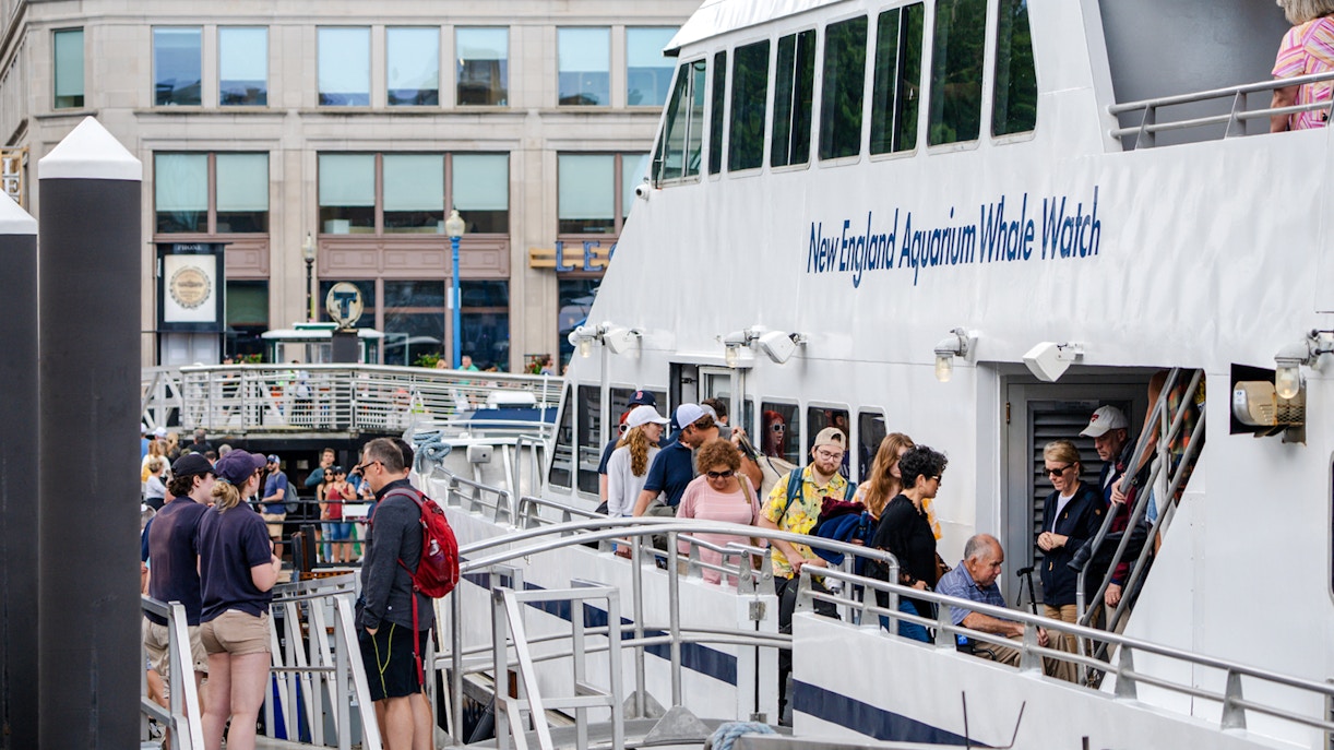 Guests boarding a catamaran on the Whale watching cruise