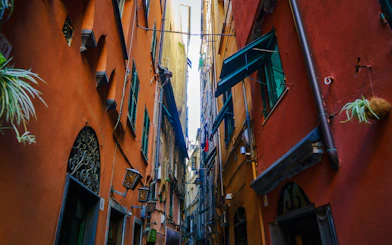 Narrow alleyway with colorful buildings in Genoa, Italy, part of a walking dinner tour.